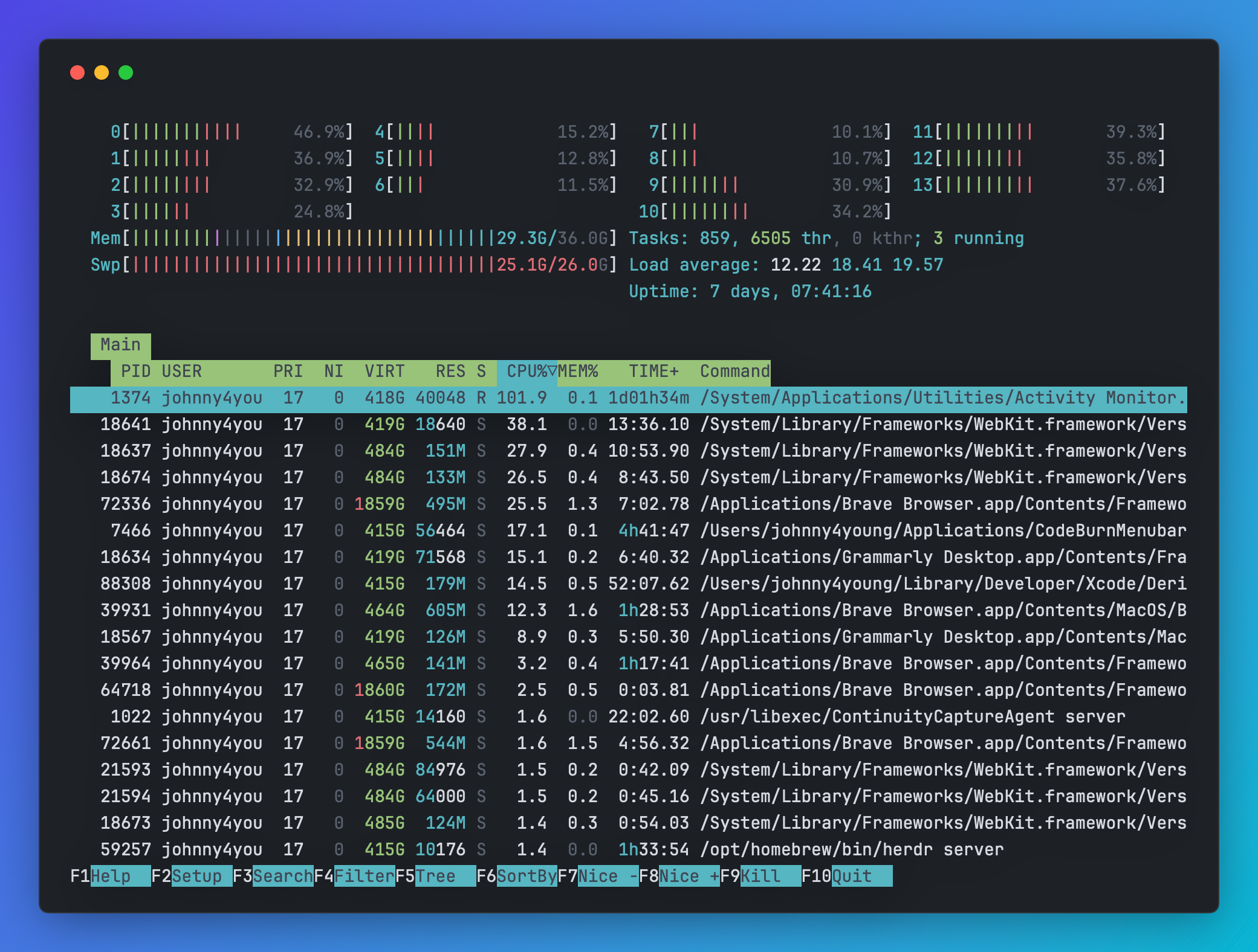 htop's system monitor reconstructed as a Vitrine image — CPU and memory meters, the process table, and the function-key bar